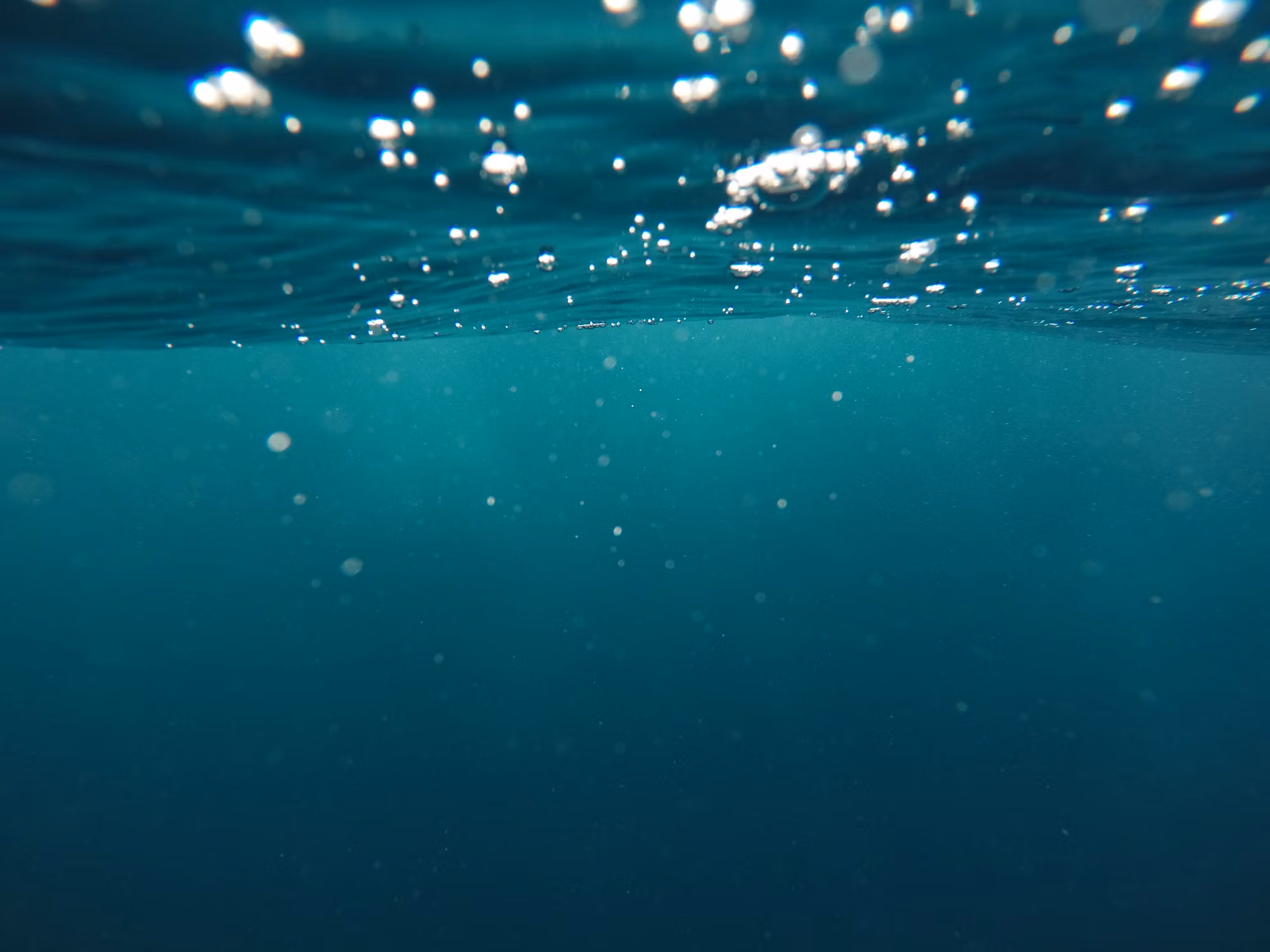 Diving into Adventure: A Guide to the Underwater World