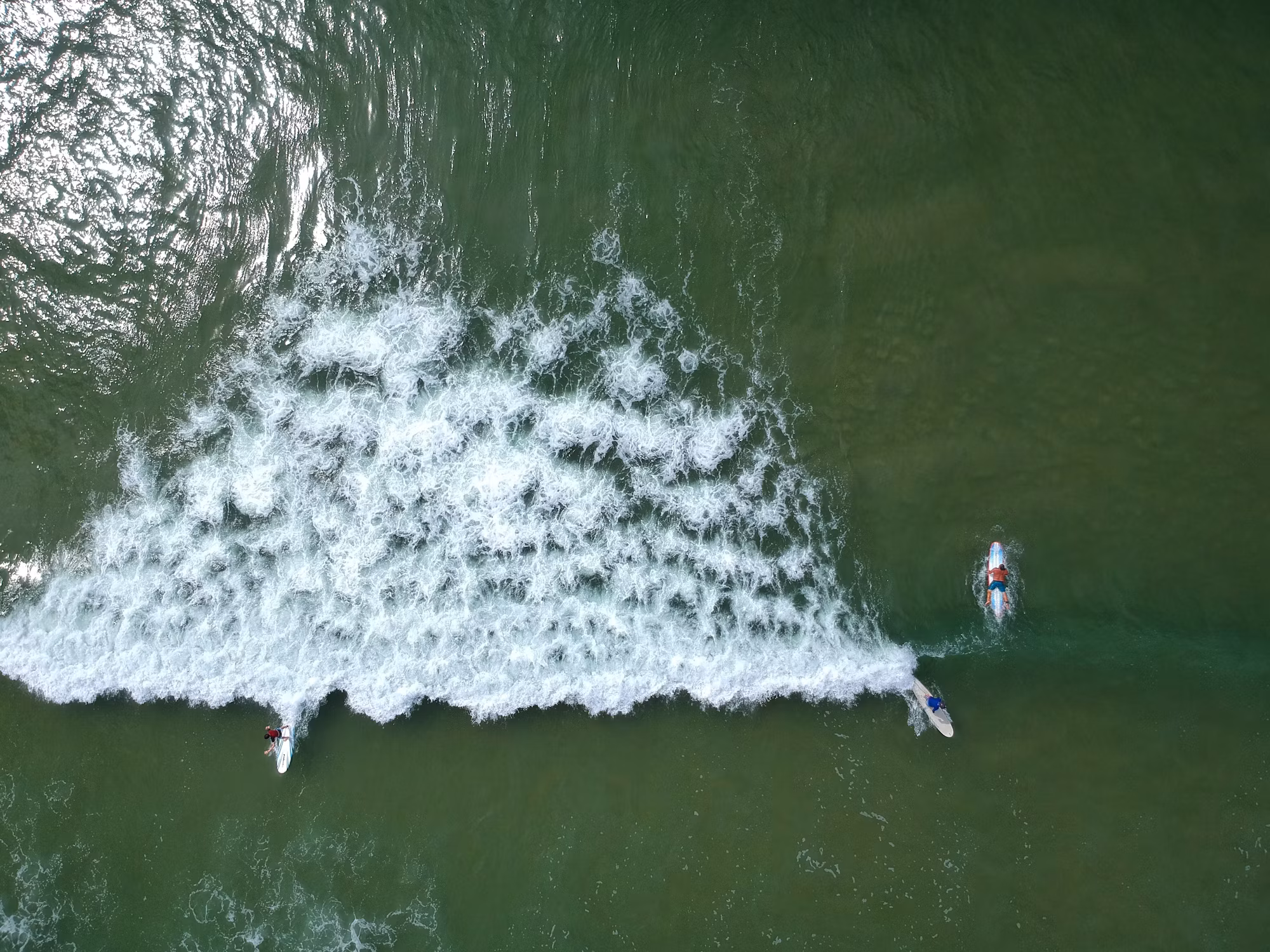Exploring the Ocean: A Journey Through Popular Water Sports